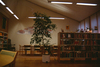 Den ursprungliga tingssalen används idag som bibliotek. Notera väggmålningen bakom den stora (och tunga!) krukväxten.