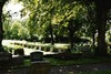 Forshems kyrkogård, södra delen. Neg.nr 03/185:16.jpg