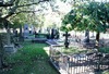 Äldre gravar på kyrkogården. 