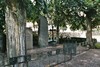 Sekelskiftesgravar på Tidaholms kyrkogård. Neg.nr. 04/184:01. JPG. 