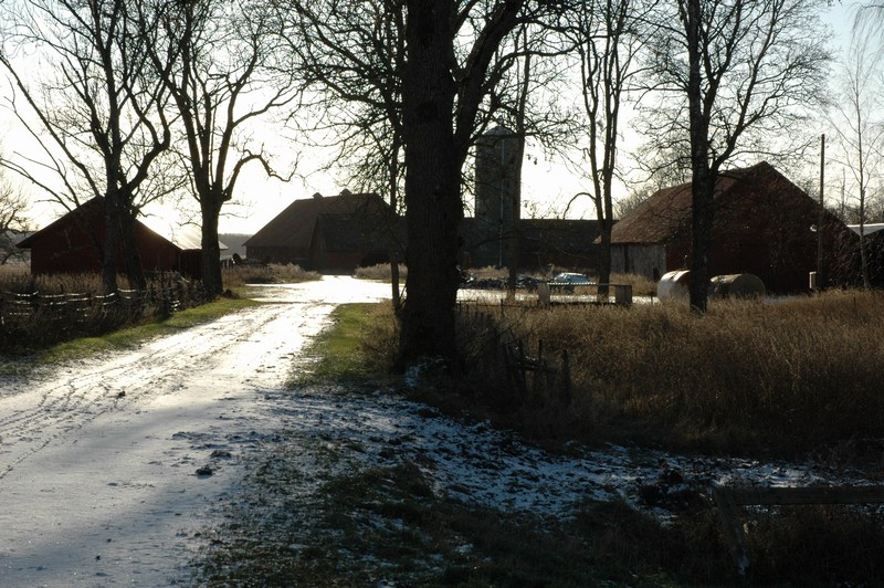 Sveneby herrgård. Vägen från gårdsplanen mot ladugårdsbacken i söder. Till vänster en vagnsliderbyggnad och bod för jordbruksredskap, till höger en stall eller ladugårdsbyggnad.