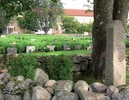 Gränsen mellan 1947 års utvidgning och den ursprungliga
kyrkogården.