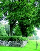 Kyrkogårdsmurens sydvästra hörn. Här syns även syrénhäcken
och trädkransen av lönn och lind.