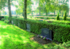 Kvarter F och G är anlagda inom kyrkogårdens nordöstra del. De äldsta gravvårdarna är från 1940-talet och kvarteren har
sedan använts fram till 2000-talet. Största antalet gravvårdar är dock från 1940/50-talen och 1970-talet.