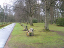 Kvarter A från norr. Raden med lindar bildar gräns mot
kyrkogårdsutvidgningen som gjordes 1966.