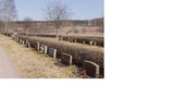 Hosjö kyrkogård
I de östliga terrassernas kvarter ligger gravar i raka rader med gräsbevuxna ytor och rygghäckar. 