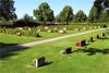 Den Södra kyrkogården som kom till 1941 präglas av tidstypiska låga och breda gravvårdar.
Omkring 1980 planterades rygghäckar av vresros

