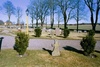 Söne kyrkogård med äldre stenkors. Neg.nr 03/151:06