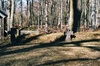 Stenkors på Tådene gamla kyrkogård. Neg.nr 03/147:03-jpg