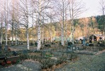 Tåsjö kyrkogård.

Bilderna är tagna av Martin Lagergren & Emelie Petersson, bebyggelseantikvarier vid Jämtlands läns museum, i samband med inventeringen, 2004-2005.