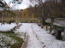 Timrå kyrkas kyrkogård, kyrkogårdens nordöstra hörn. 