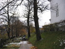 Timrå kyrkas kyrkogård, östra kyrkotomten, vy från norr. 