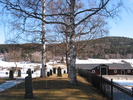 Bjärtrå kyrkas kyrkogård, östra gränsen, vy från söder. 