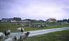 Äldre bebyggelsemönster med gårdens byggnader liggande i en oregelbunden klunga vid Bondans på Fårö.
Ur: Haase, S. Ström, G. Byggningar u häusar. 2004