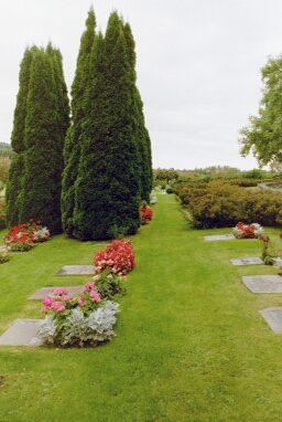 Sankta Birgitta kyrkogården, äldsta delen i väster. Neg nr 02/160:09.jpg