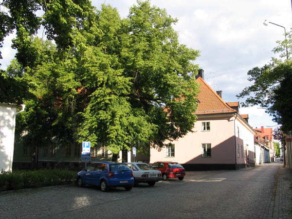 Vägen väster om kyrkan med Cederflychska fattighuset (numera Kyrkans hus). 