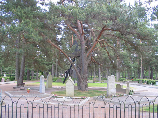 Kyrkogårdens västligaste del. 