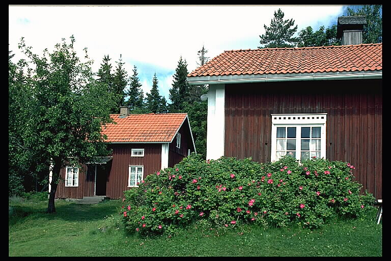 Finngården Kvarntorp (Myllylä). Bilden troligen från mitten av 1980-talet.