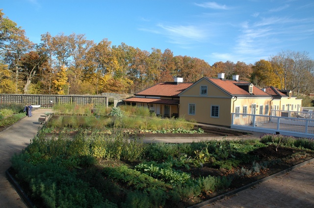 I köksträdgårdarna odlas ekologiska grönsaker 