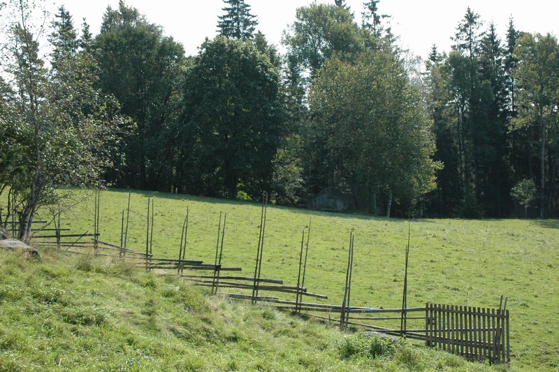Ljungås, inägan söder om mangården, i skogsbrynet syns jordkällaren.