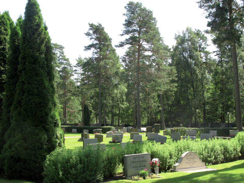 Det naturliga tallbeståndet utgör viktiga delar av kyrkogårdens ursprungliga
gestaltning.