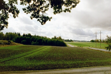Landskapet kring Gärdhems kyrka, vars torn sticker upp bakom träden.