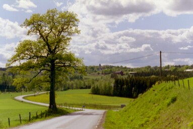 Bredareds kyrka med omgivande landskap sett från öster.