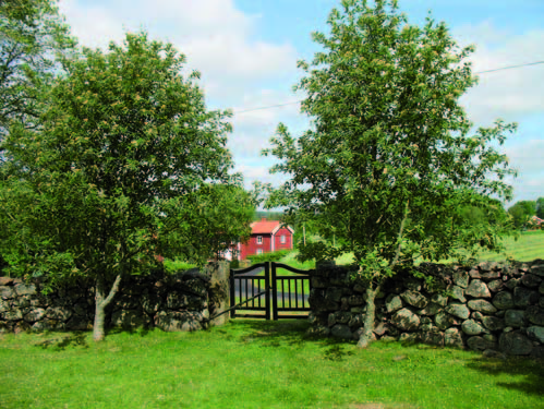 Ingången med en dubbel trägrind i det nordvästra hörnet av kyrkogården.
Två rönnar flankerar grinden. Bilden fotograferad från insidan av kyrkogården.