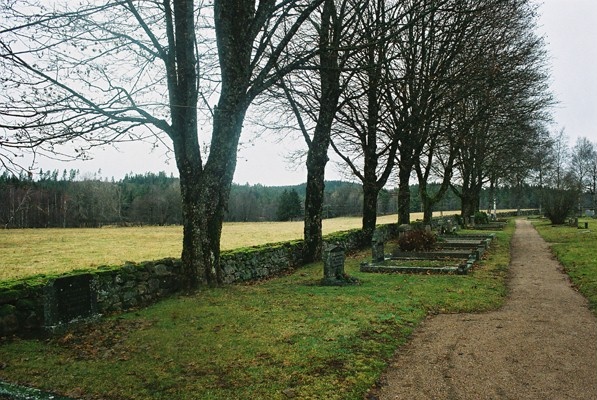 Vy bortom västra kyrkogårdsmuren med trädrad, från SÖ.
