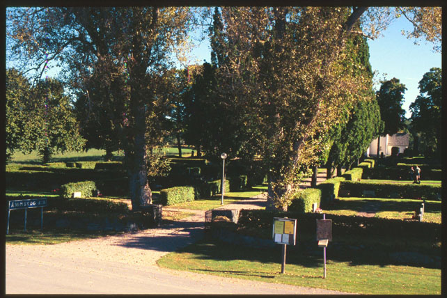 Kyrkogårdens västra del. 