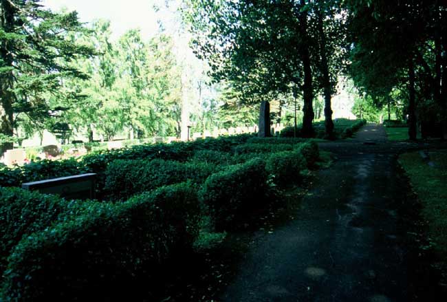 Del av den gamla kyrkogården med häckar som delar av gravplatserna. 