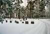Tibro nya kyrkogård med utvidgning av skogskaraktär. Neg.nr. 03/223:02. JPG. 