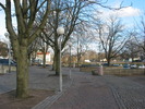 Trädplantering och markläggning på Kungstorget som följer den tidigare basarens halvrunda form.
