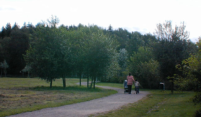 Gångväg i kanten av Järvafältet. SAK12147 Sthlm, Kista, Gångväg söder om Kolding 1-3, från NO 